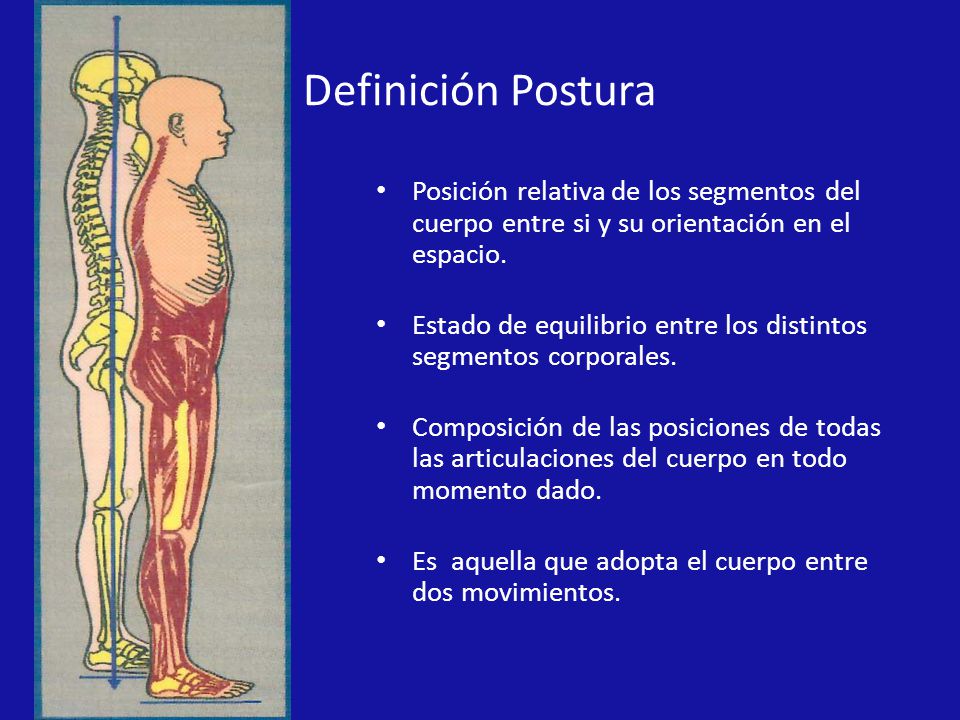Definición Postura Posición relativa de los segmentos del cuerpo entre si y su orientación en el espacio.