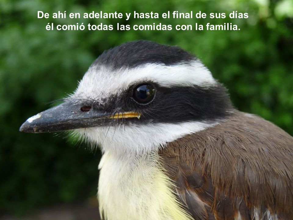 De ahí en adelante y hasta el final de sus días él comió todas las comidas con la familia.