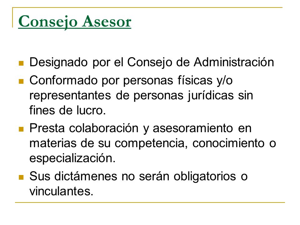 Consejo Asesor Designado por el Consejo de Administración