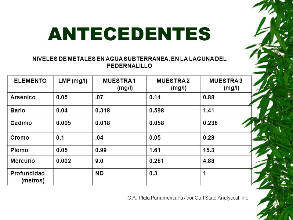 NIVELES DE METALES EN AGUA SUBTERRANEA, EN LA LAGUNA DEL PEDERNALILLO