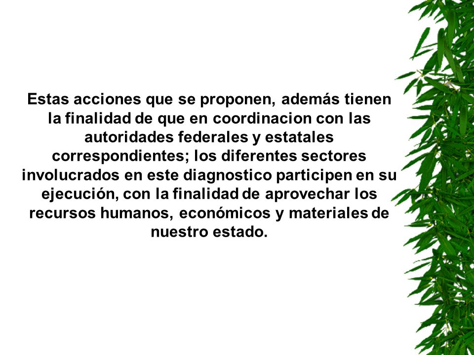 Estas acciones que se proponen, además tienen la finalidad de que en coordinacion con las autoridades federales y estatales correspondientes; los diferentes sectores involucrados en este diagnostico participen en su ejecución, con la finalidad de aprovechar los recursos humanos, económicos y materiales de nuestro estado.