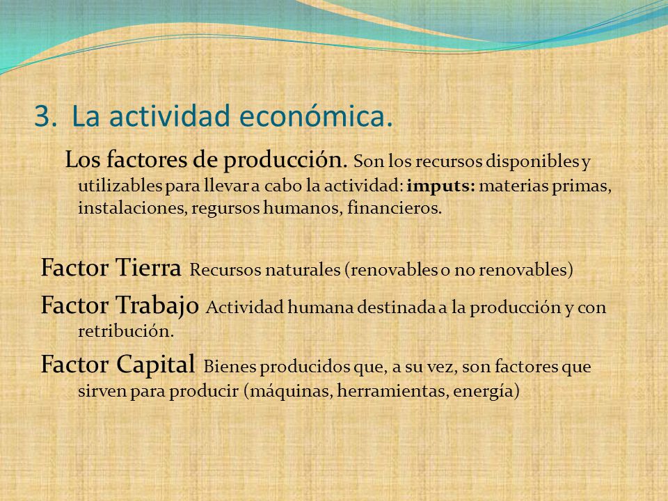 3. La actividad económica.