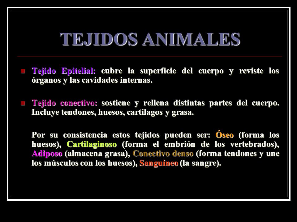 TEJIDOS ANIMALES Tejido Epitelial: cubre la superficie del cuerpo y reviste los órganos y las cavidades internas.