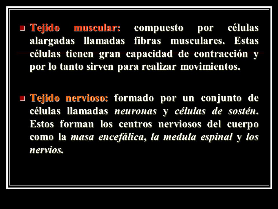 Tejido muscular: compuesto por células alargadas llamadas fibras musculares. Estas células tienen gran capacidad de contracción y por lo tanto sirven para realizar movimientos.