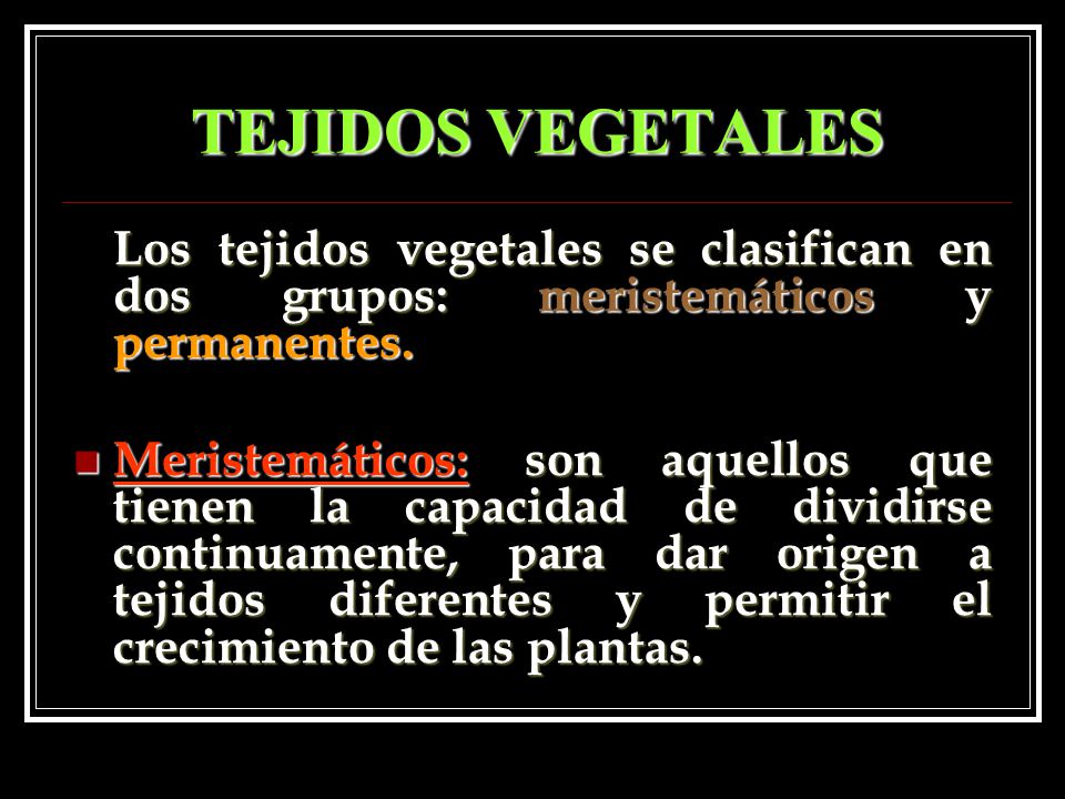 TEJIDOS VEGETALES Los tejidos vegetales se clasifican en dos grupos: meristemáticos y permanentes.