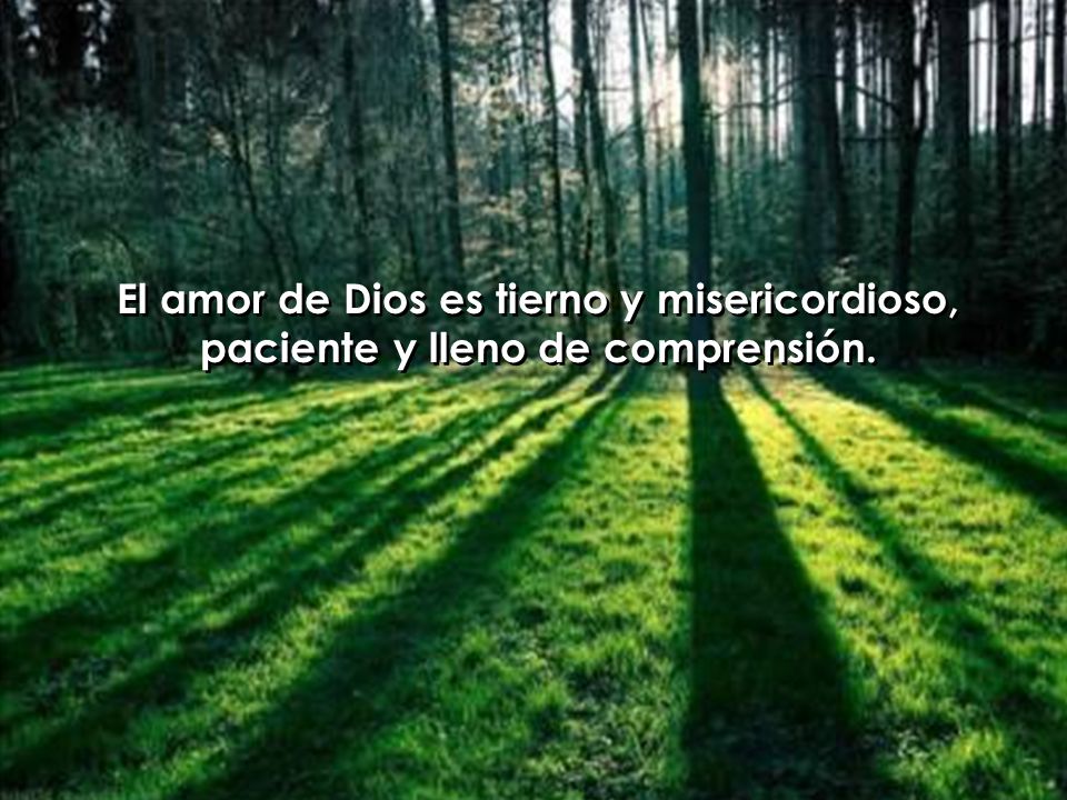 El amor de Dios es tierno y misericordioso,