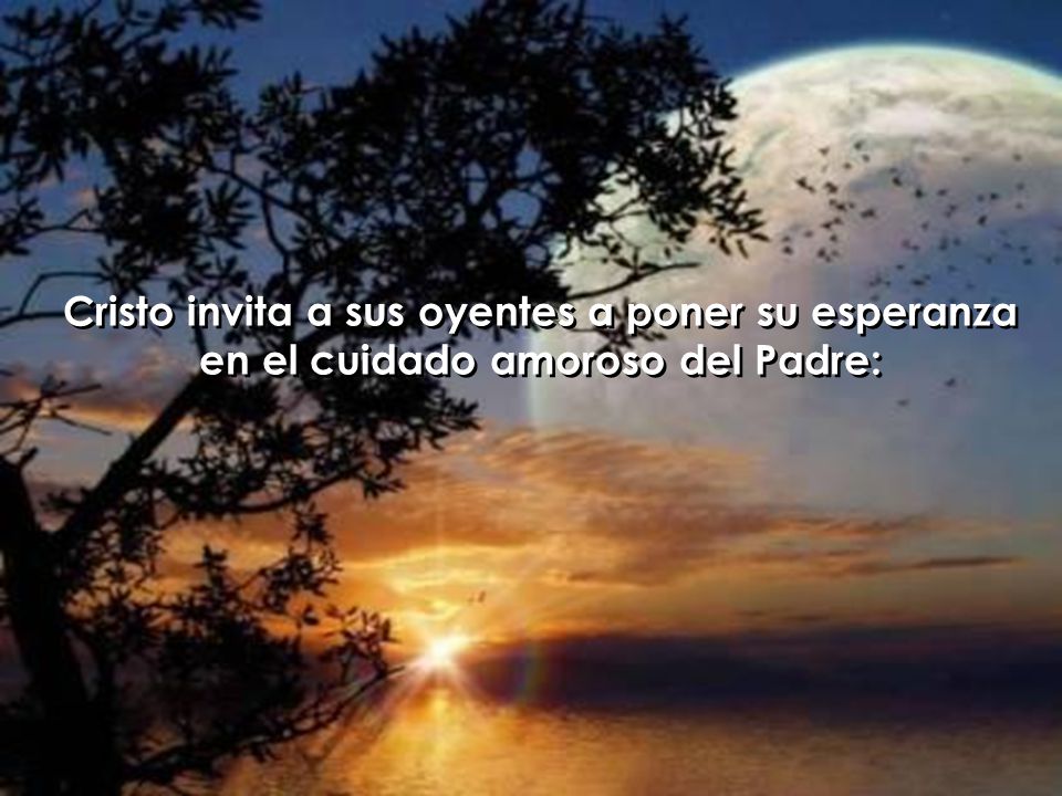 Cristo invita a sus oyentes a poner su esperanza en el cuidado amoroso del Padre:
