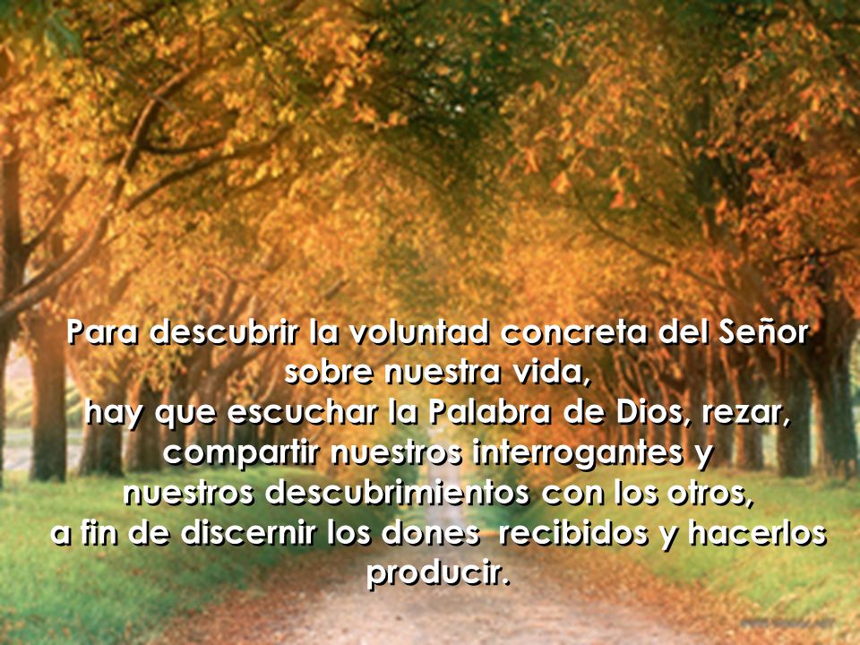 Para descubrir la voluntad concreta del Señor sobre nuestra vida,