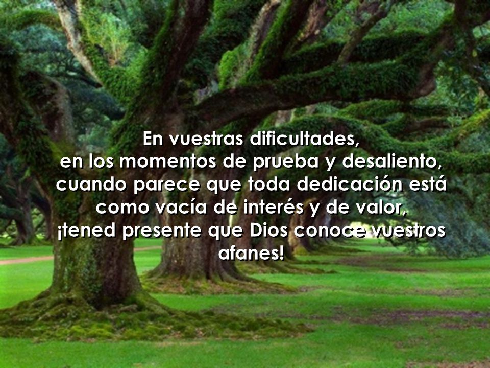 En vuestras dificultades, en los momentos de prueba y desaliento,
