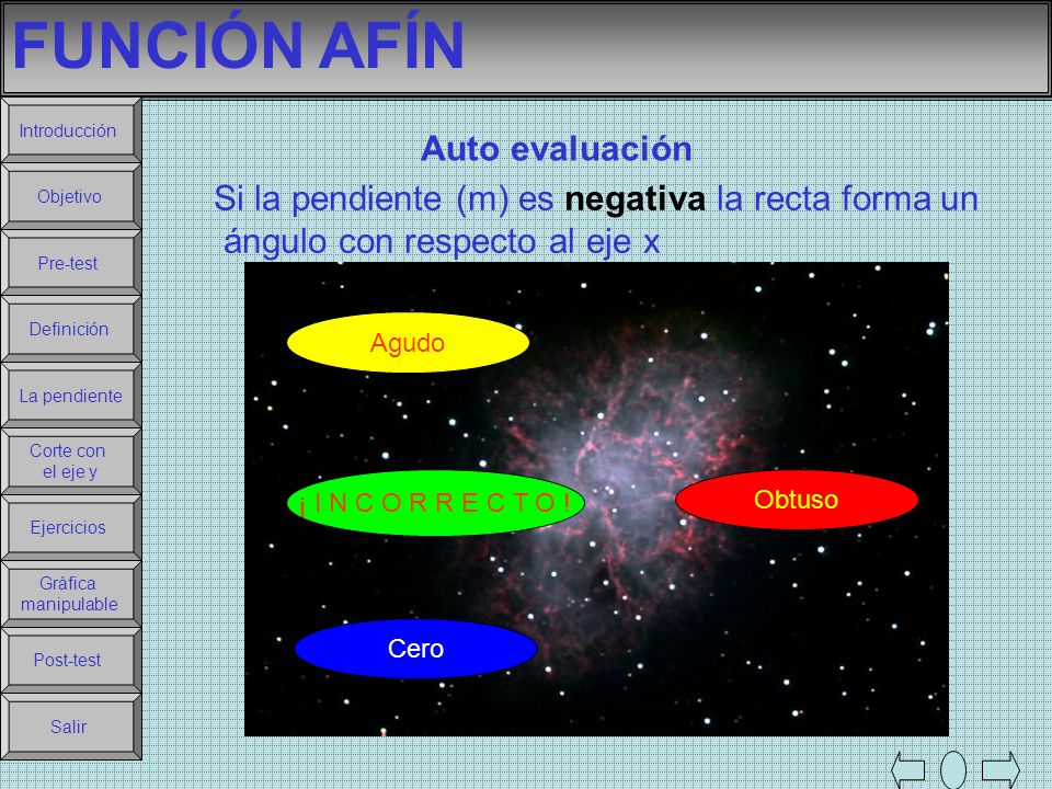 FUNCIÓN AFÍN Auto evaluación