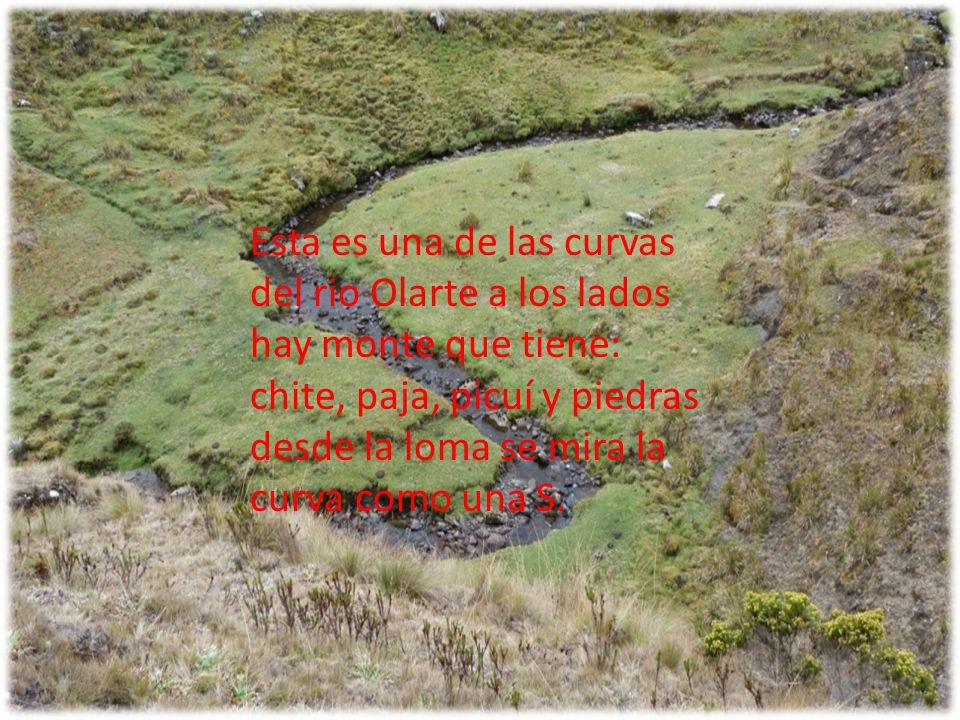 Esta es una de las curvas del rio Olarte a los lados hay monte que tiene: chite, paja, picuí y piedras desde la loma se mira la curva como una S.