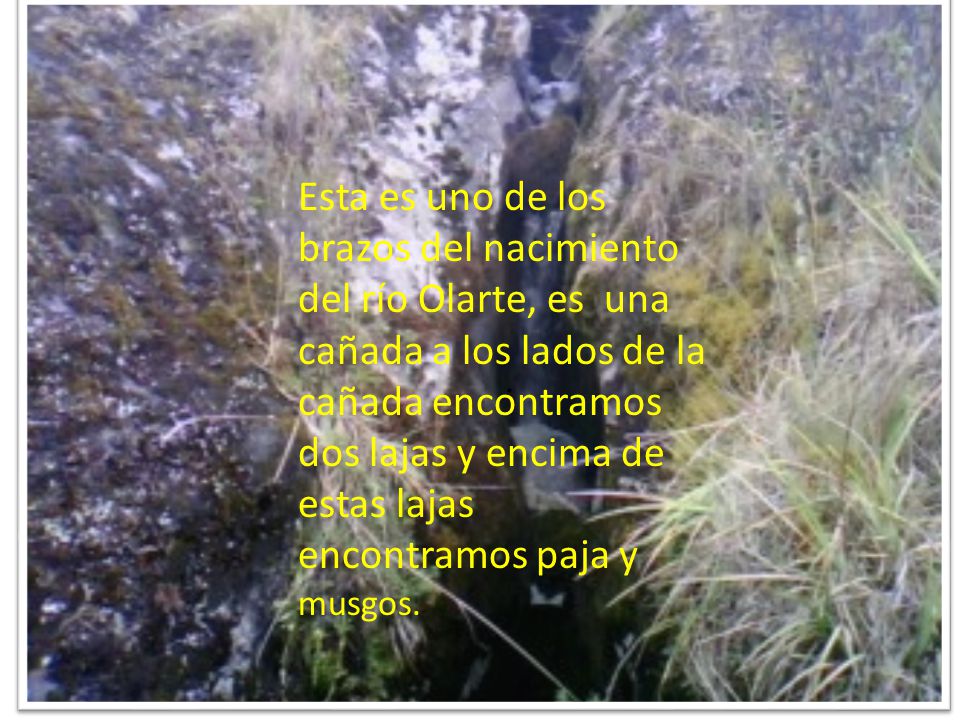 Esta es uno de los brazos del nacimiento del río Olarte, es una cañada a los lados de la cañada encontramos dos lajas y encima de estas lajas encontramos paja y musgos.