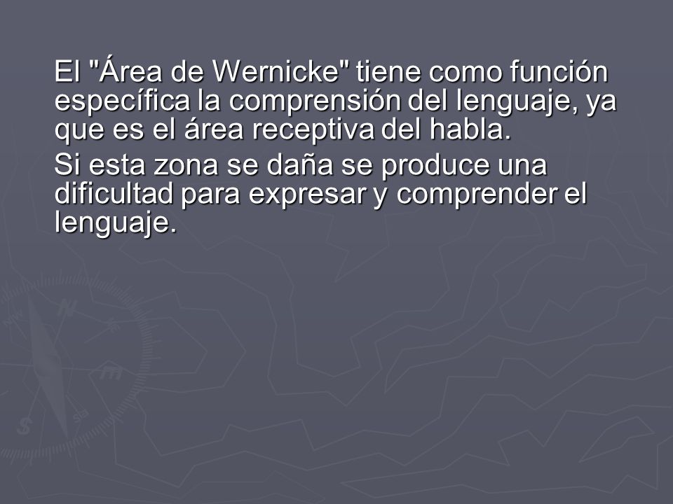 El Área de Wernicke tiene como función específica la comprensión del lenguaje, ya que es el área receptiva del habla.