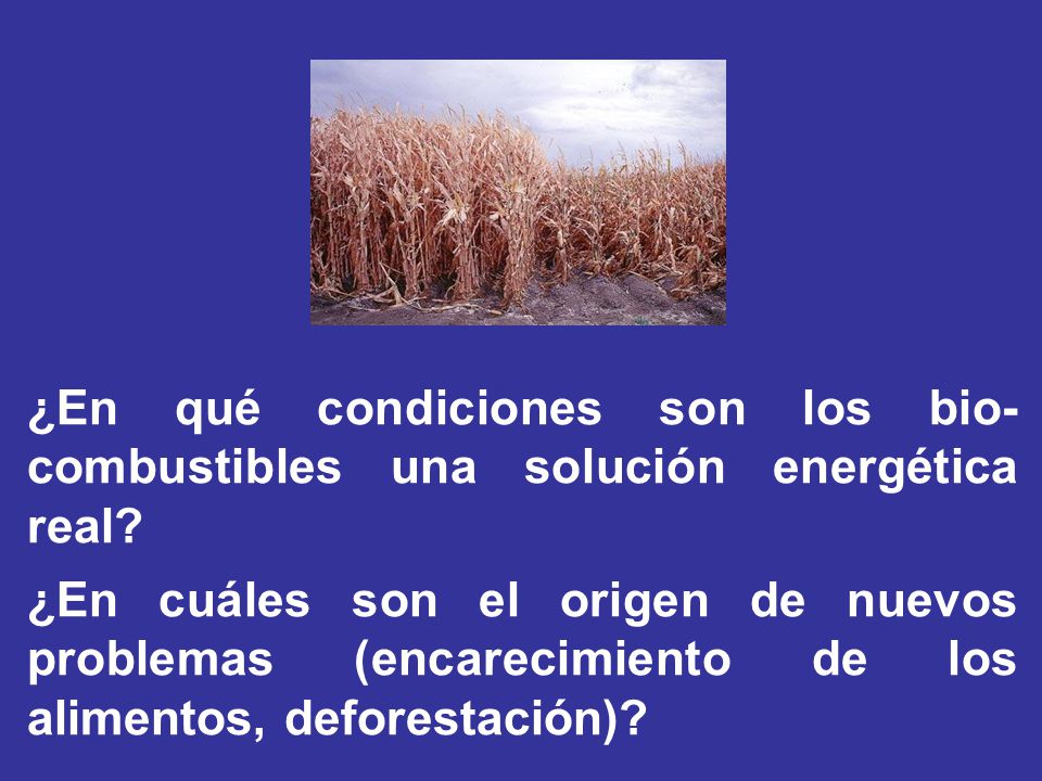 ¿En qué condiciones son los bio-combustibles una solución energética real