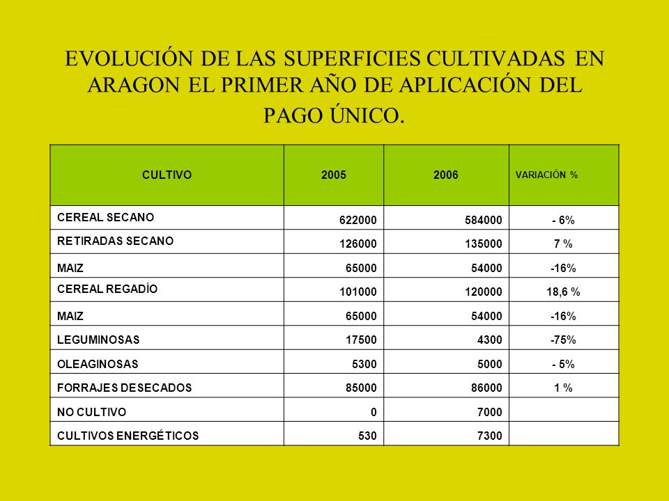 EVOLUCIÓN DE LAS SUPERFICIES CULTIVADAS EN ARAGON EL PRIMER AÑO DE APLICACIÓN DEL PAGO ÚNICO.