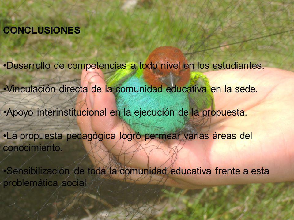 CONCLUSIONES Desarrollo de competencias a todo nivel en los estudiantes. Vinculación directa de la comunidad educativa en la sede.