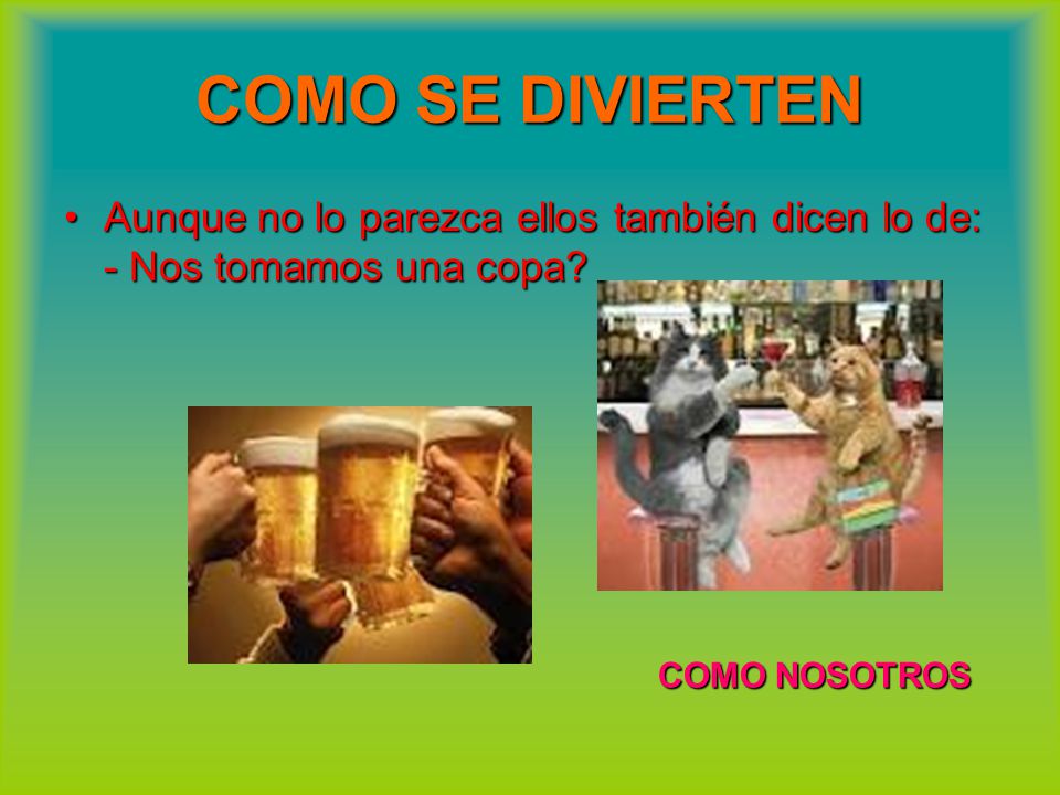COMO SE DIVIERTEN Aunque no lo parezca ellos también dicen lo de: - Nos tomamos una copa.