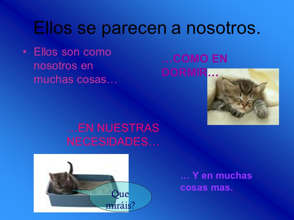 Ellos se parecen a nosotros.