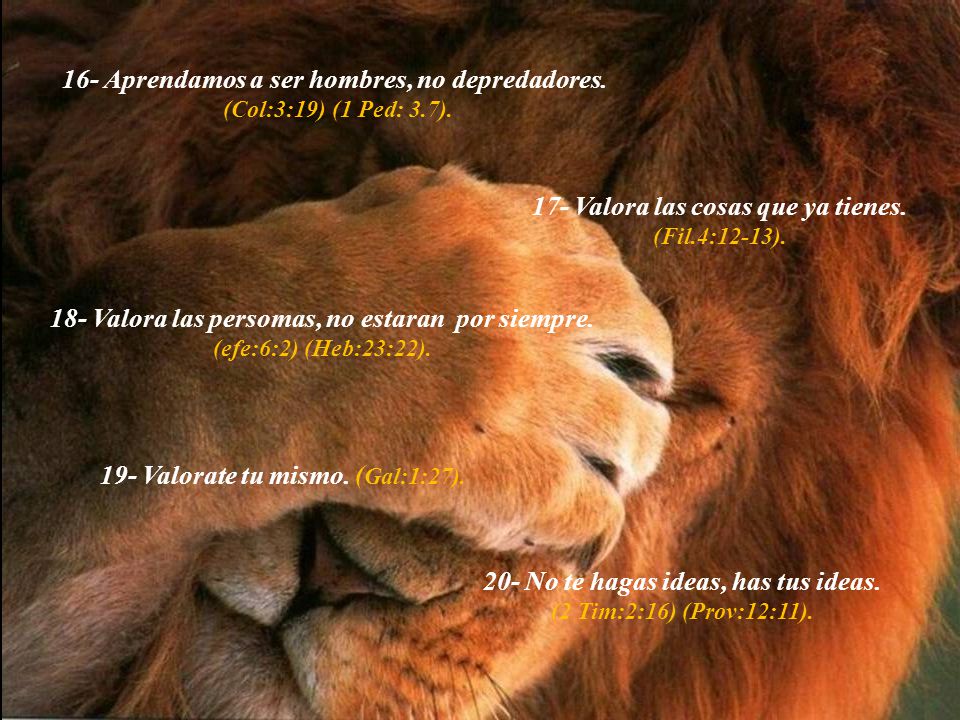 18- Valora las persomas, no estaran por siempre.