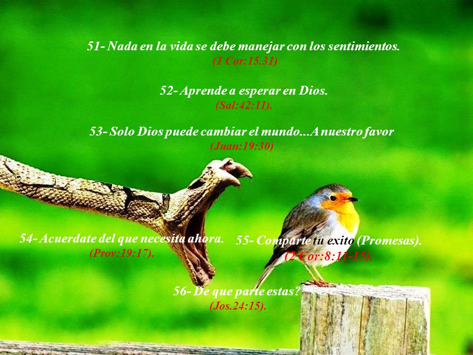 51- Nada en la vida se debe manejar con los sentimientos.