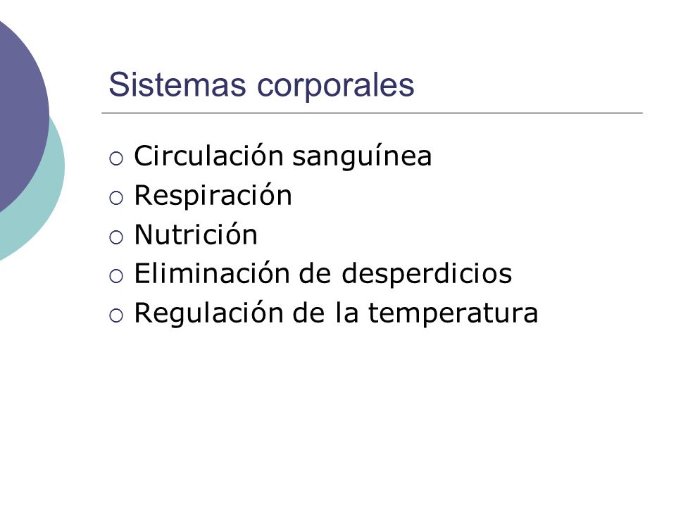 Sistemas corporales Circulación sanguínea Respiración Nutrición