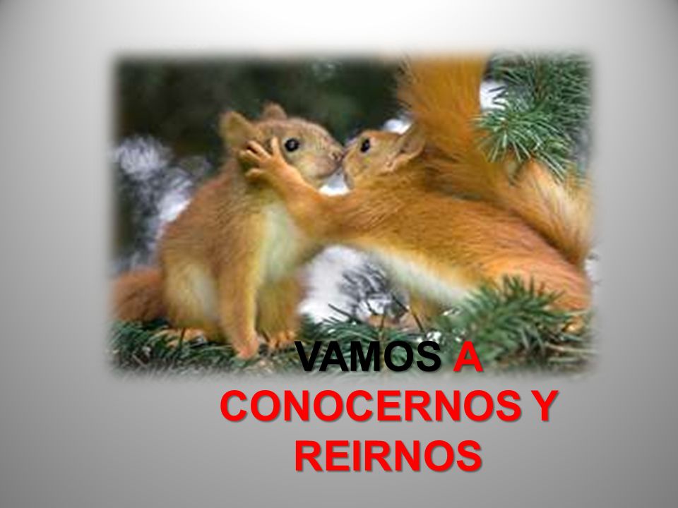 VAMOS A CONOCERNOS Y REIRNOS