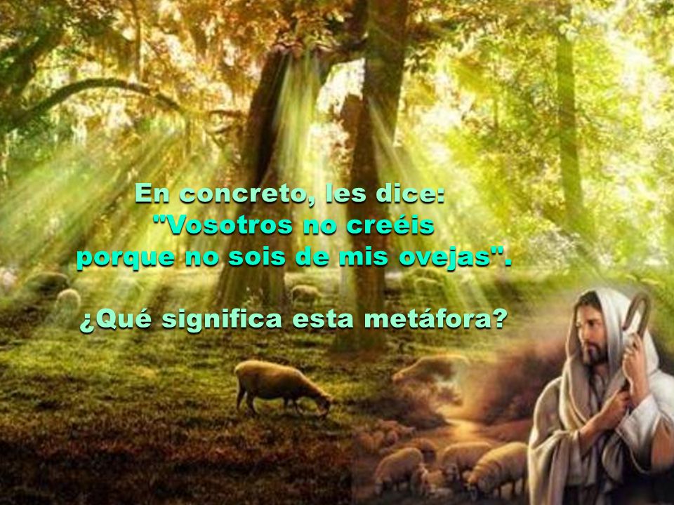 porque no sois de mis ovejas . ¿Qué significa esta metáfora