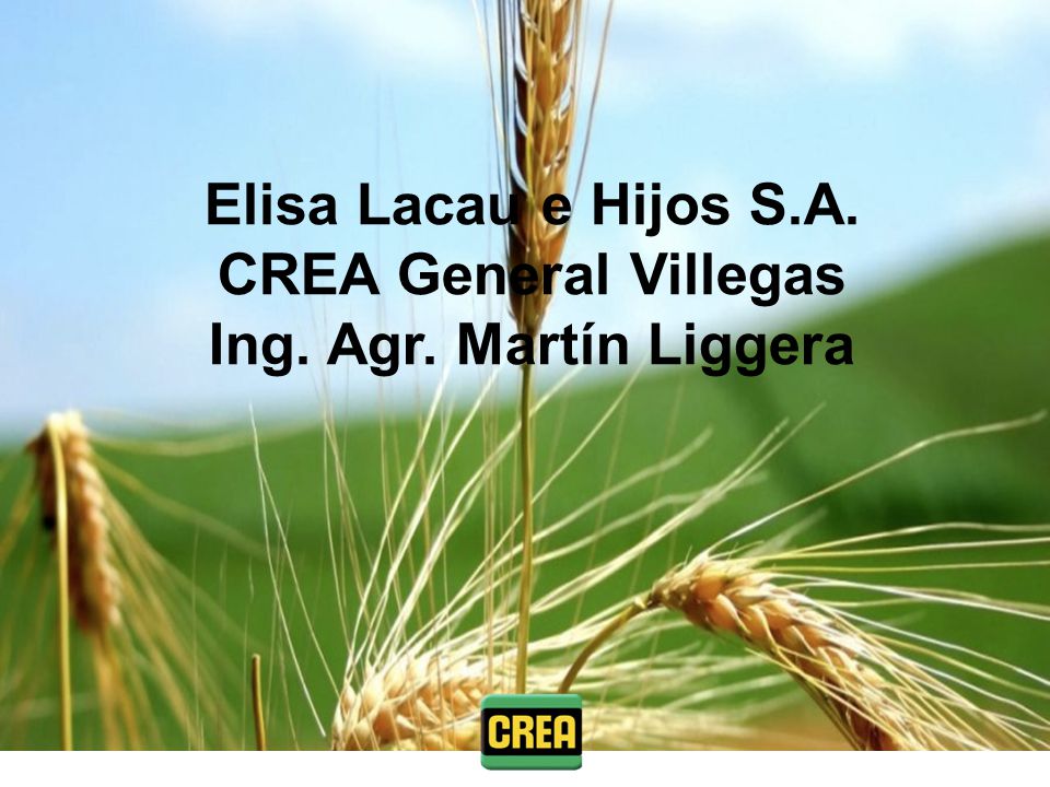 Elisa Lacau e Hijos S. A. CREA General Villegas Ing. Agr