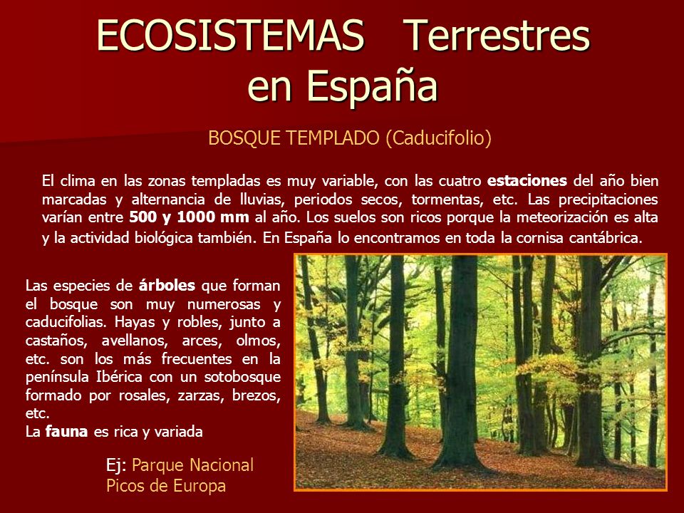 ECOSISTEMAS Terrestres en España