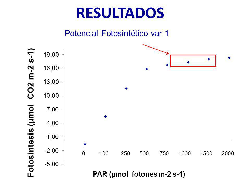 PAR (µmol fotones m-2 s-1)