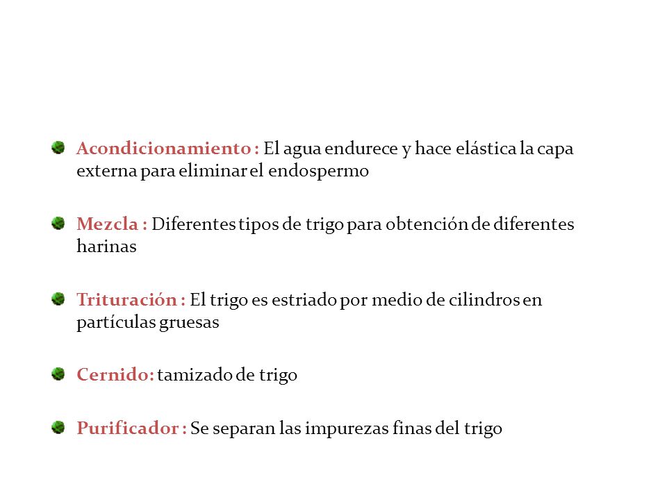 Acondicionamiento : El agua endurece y hace elástica la capa externa para eliminar el endospermo
