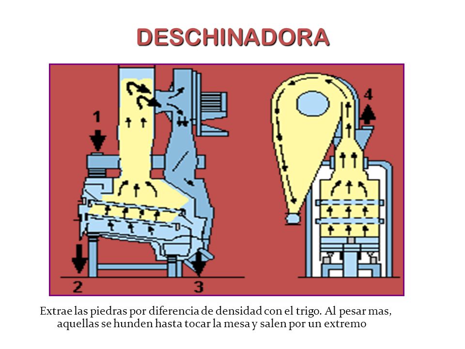 DESCHINADORA Extrae las piedras por diferencia de densidad con el trigo.