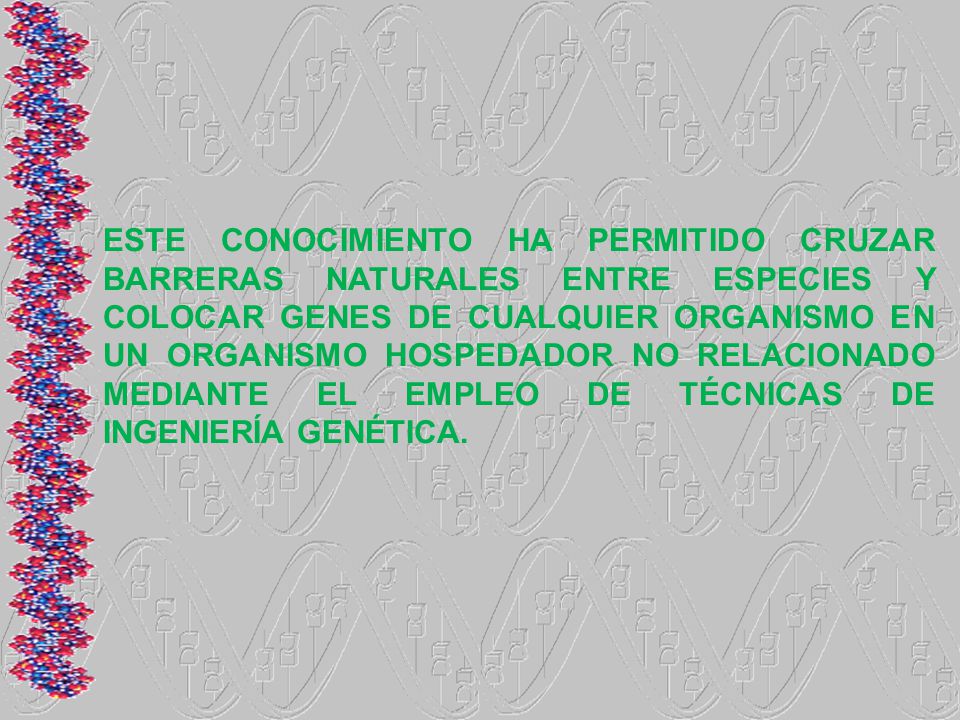 ESTE CONOCIMIENTO HA PERMITIDO CRUZAR BARRERAS NATURALES ENTRE ESPECIES Y COLOCAR GENES DE CUALQUIER ORGANISMO EN UN ORGANISMO HOSPEDADOR NO RELACIONADO MEDIANTE EL EMPLEO DE TÉCNICAS DE INGENIERÍA GENÉTICA.