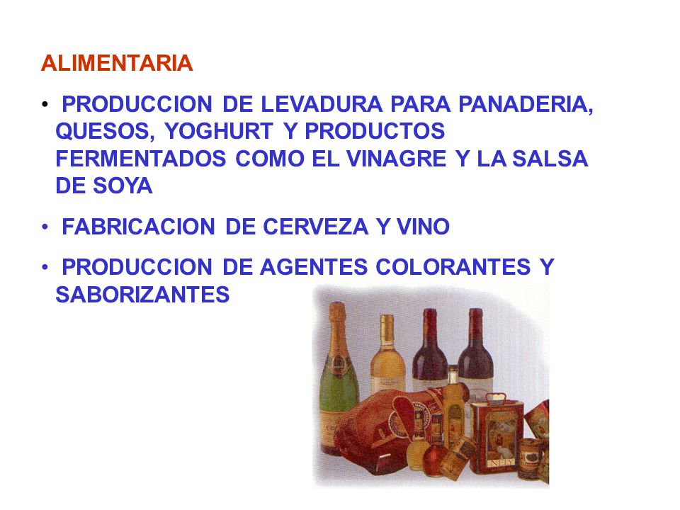 ALIMENTARIA PRODUCCION DE LEVADURA PARA PANADERIA, QUESOS, YOGHURT Y PRODUCTOS FERMENTADOS COMO EL VINAGRE Y LA SALSA DE SOYA.