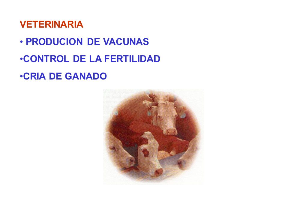VETERINARIA PRODUCION DE VACUNAS CONTROL DE LA FERTILIDAD CRIA DE GANADO