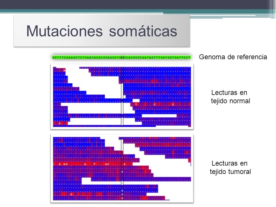 Mutaciones somáticas Genoma de referencia Lecturas en tejido normal