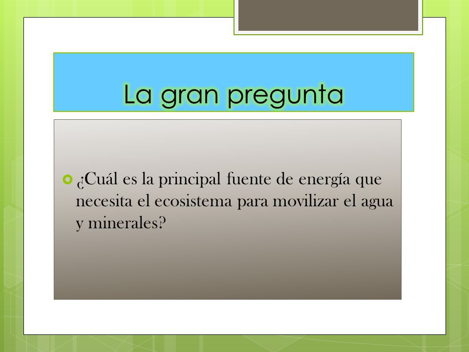 La gran pregunta ¿Cuál es la principal fuente de energía que necesita el ecosistema para movilizar el agua y minerales