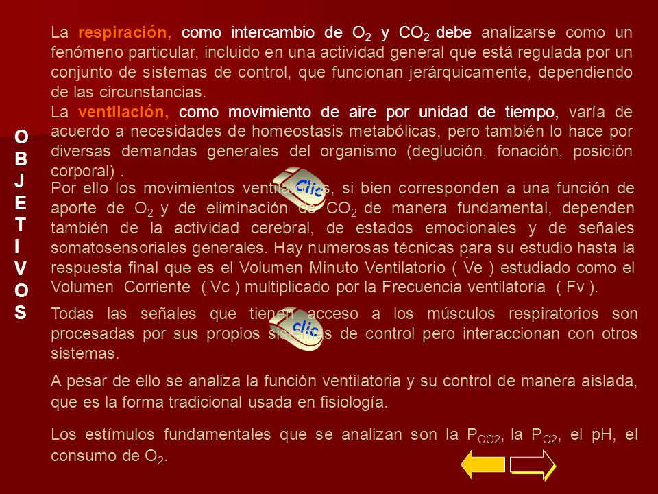 La respiración, como intercambio de O2 y CO2 debe analizarse como un fenómeno particular, incluido en una actividad general que está regulada por un conjunto de sistemas de control, que funcionan jerárquicamente, dependiendo de las circunstancias.