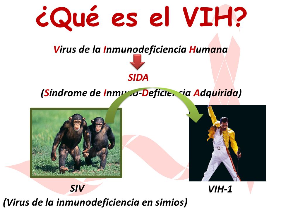 ¿Qué es el VIH Virus de la Inmunodeficiencia Humana SIDA