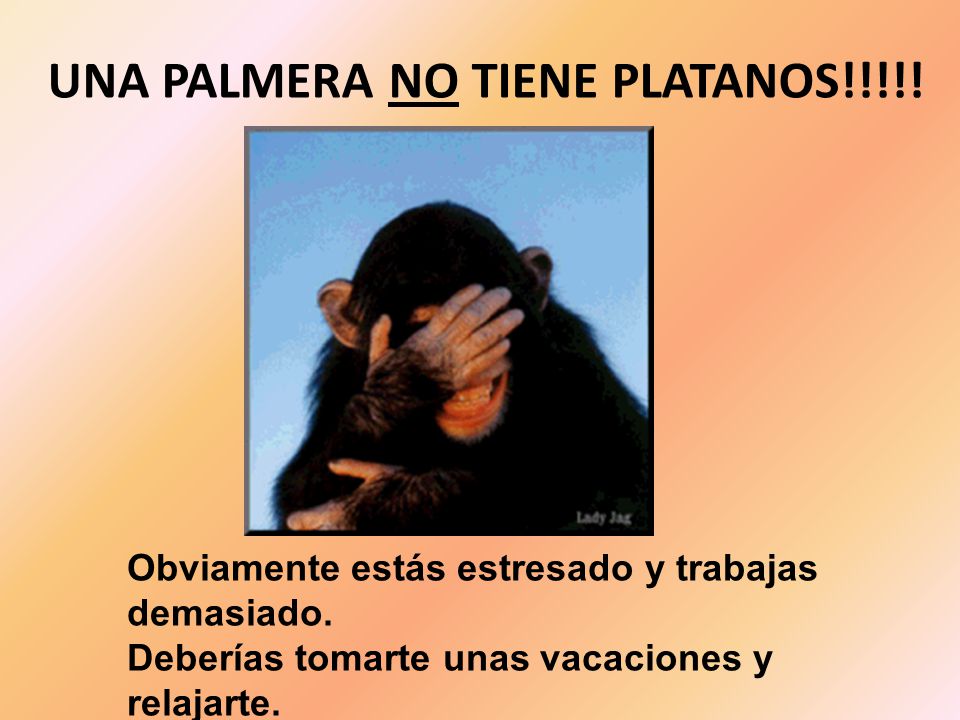 UNA PALMERA NO TIENE PLATANOS!!!!!