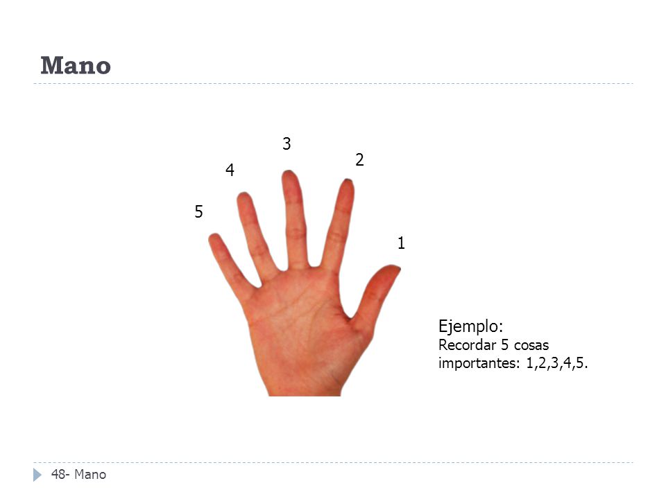 Mano Ejemplo: Recordar 5 cosas importantes: 1,2,3,4,5.