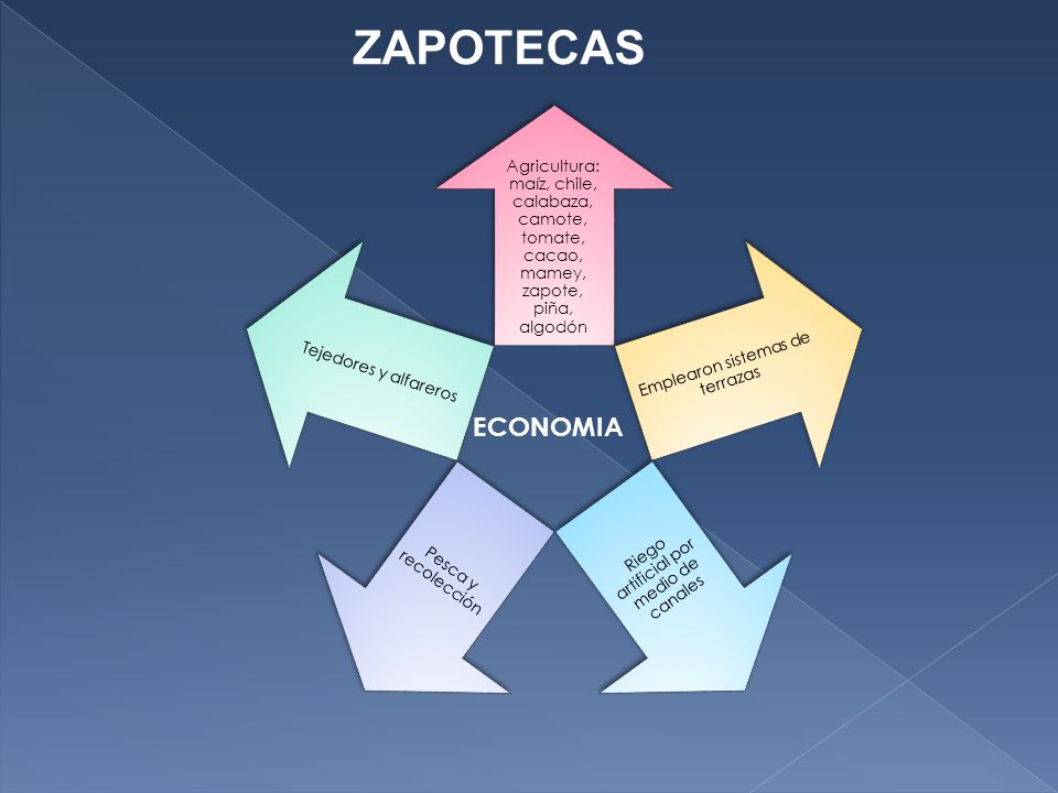 ZAPOTECAS Agricultura: maíz, chile, calabaza, camote, tomate, cacao, mamey, zapote, piña, algodón. Emplearon sistemas de terrazas.