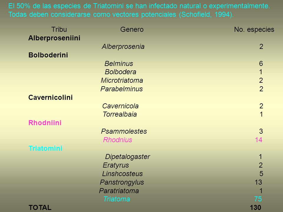 El 50% de las especies de Triatomini se han infectado natural o experimentalmente. Todas deben considerarse como vectores potenciales (Schofield, 1994).