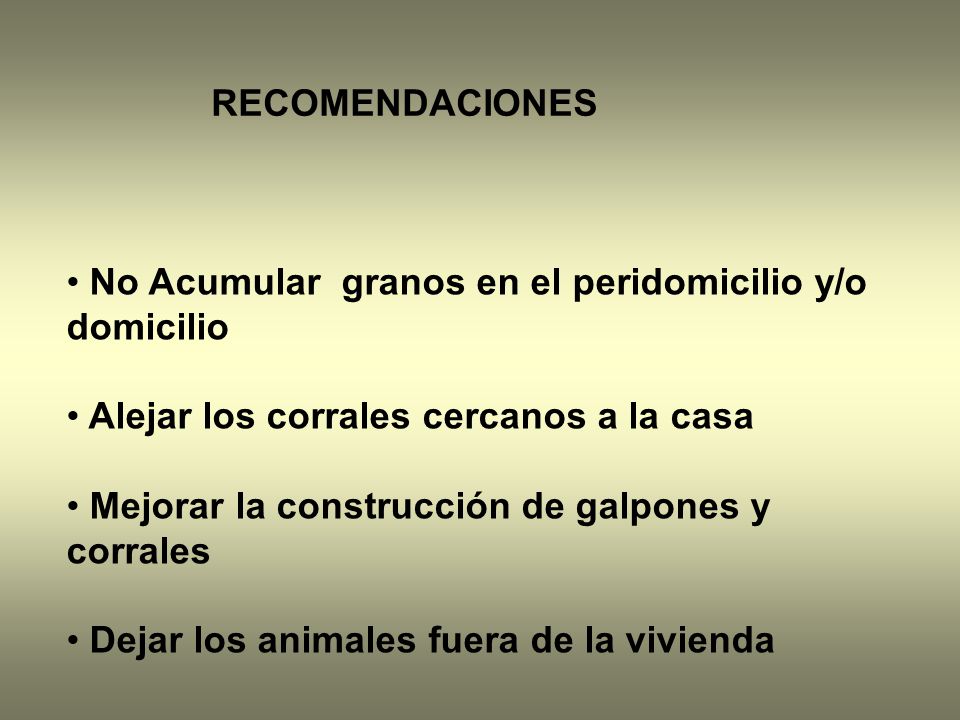 RECOMENDACIONES No Acumular granos en el peridomicilio y/o domicilio. Alejar los corrales cercanos a la casa.