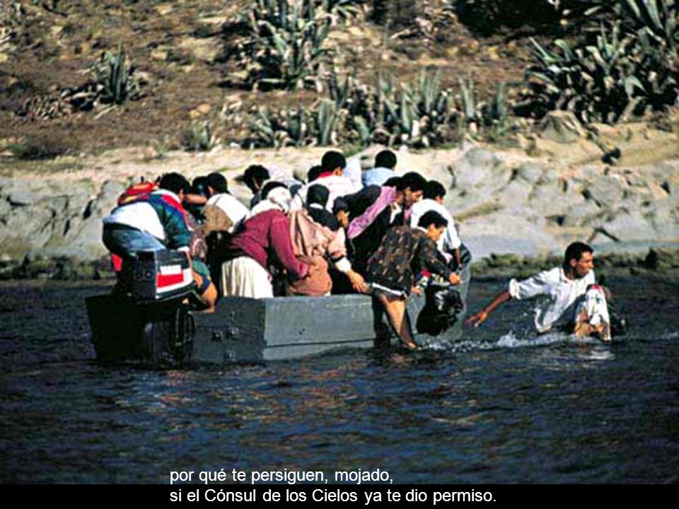 por qué te persiguen, mojado, si el Cónsul de los Cielos ya te dio permiso.