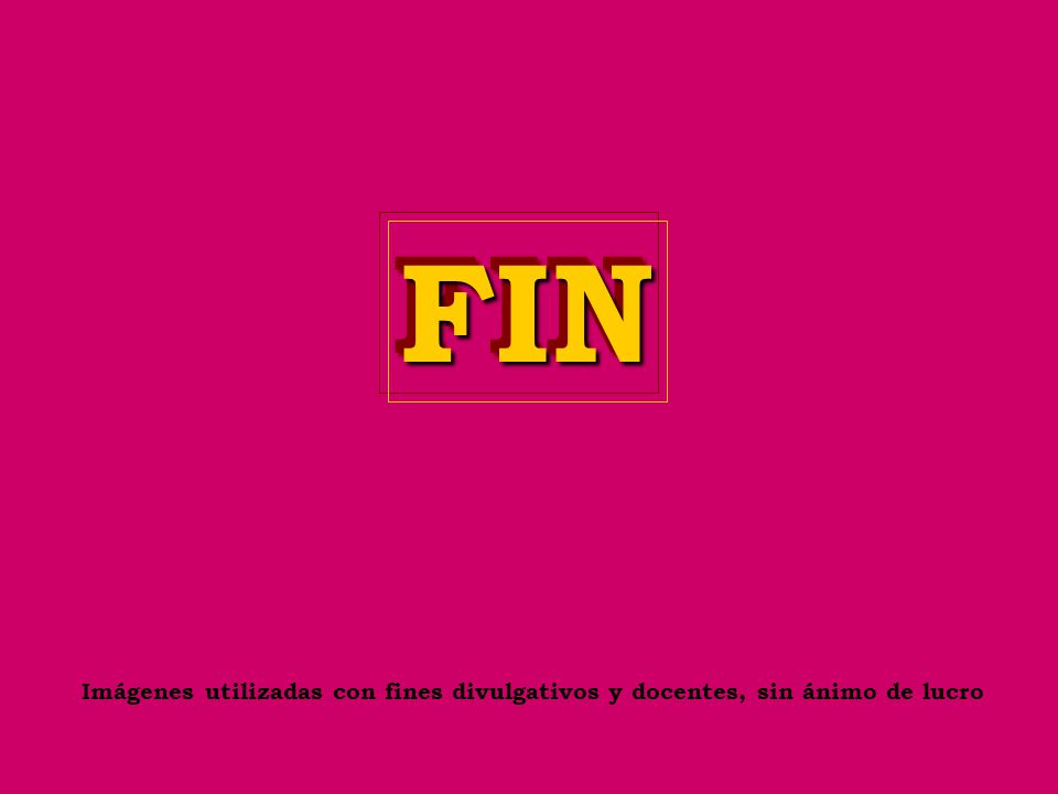FIN Imágenes utilizadas con fines divulgativos y docentes, sin ánimo de lucro