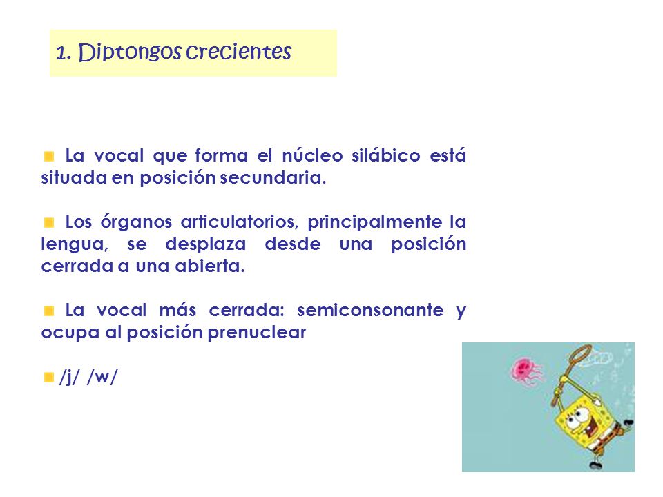 1. Diptongos crecientes La vocal que forma el núcleo silábico está situada en posición secundaria.