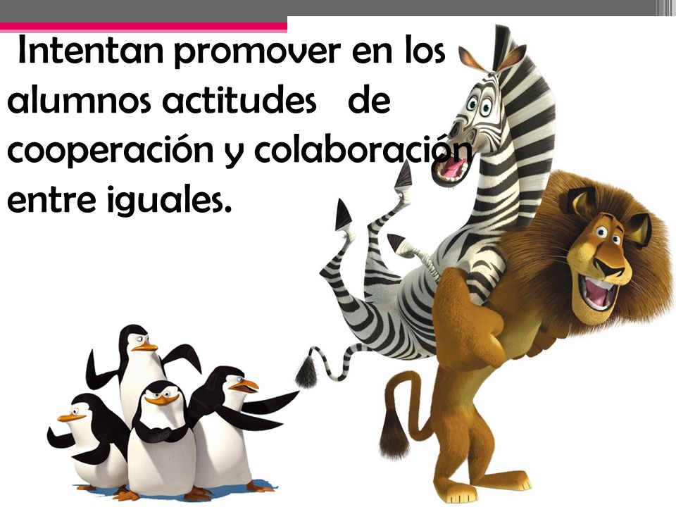 Intentan promover en los alumnos actitudes de cooperación y colaboración entre iguales.