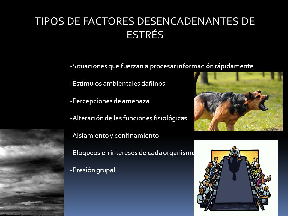 TIPOS DE FACTORES DESENCADENANTES DE ESTRÉS