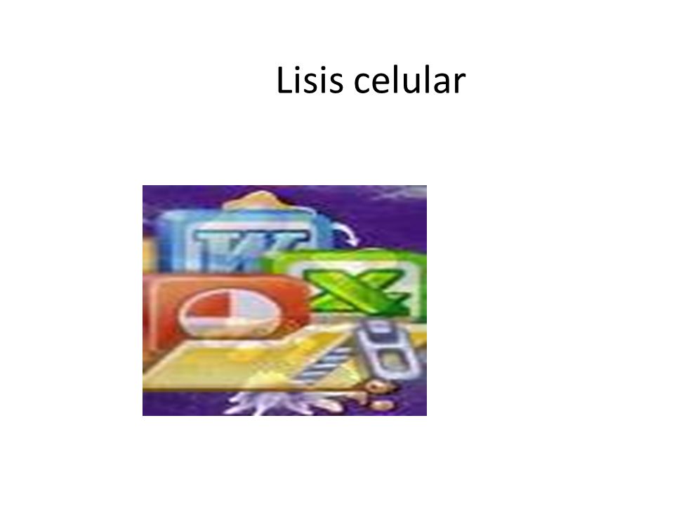 Lisis celular